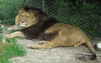 Un nouveau zoo pour Rabat