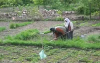 Le Maroc mûr pour les récoltes en Europe