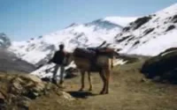 Pour les TO belges, le Maroc offre un tourisme haut de gamme