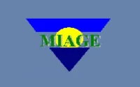 Miage Salé