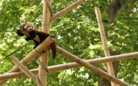 Comment Rabat va révolutionner le concept de Zoo