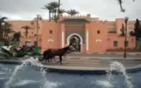 Les plus grosses fortunes du monde à Marrakech