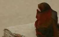 Communiqué de l'Association Démocratique des Femmes du Maroc