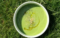 Soupe à l'avocat