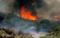 120 hectares de forêts parties en fumée à Chefchaouen
