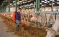 Agriculture : 5,4 milliards de dirhams investis en deux ans