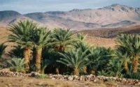 Spécial Maroc sur "Vu sur terre"