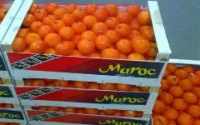 Maroc Export à la Grande épicerie parisienne bon marché