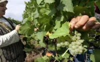 Espagne : convention pour optimiser la gestion des saisonniers