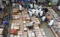 8,3 milliards de DH en 2010 pour le secteur de la pêche