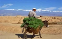 France 5 raconte 3000 ans d'histoire au Maroc