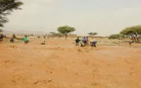 Insolite : l'oued de Marrakech déborde d'argent