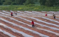 L'UE accorde 70 millions d'euros à l'agriculture solidaire au Maroc