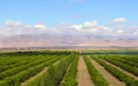 Plan Maroc Vert : 10,6 milliards de dirhams pour le Souss-Massa-Drâa