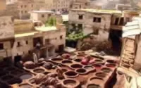 Des voyagistes européens en conclave à Fès