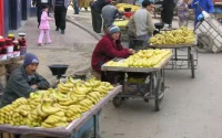 Vendeurs ambulants : un marché de 46 milliards de dirhams par an