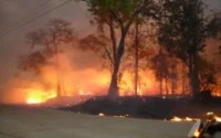 Plus de 300 hectares de forêt détruits par le feu à Guercif
