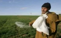 Asâar ou la bourse des produits agricoles