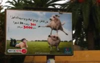 Aïd Al Adha 2011 : 120.000 "crédits mouton"