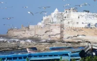 Mort d'un Français à Essaouira
