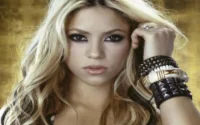 Un militaire condamné pour un montage photo de son supérieur avec Shakira