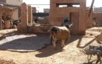 Le village de Tamzeghroute est-il hanté ?