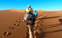 Loi de finances 2012 : alcool, cigares et touristes surtaxés