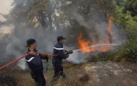 Un feu ravage 5000m² de la ceinture verte de Rabat