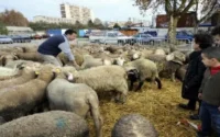 Aïd Al Adha fêté le 26 octobre en France
