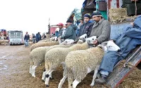 L'Aïd Al Adha célébré vendredi 26 octobre au Maroc