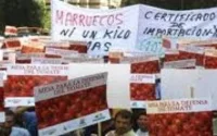 Maroc-Espagne : la guerre de la tomate fait rage