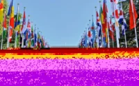 Le Maroc élu au Conseil des droits de l'Homme de l'ONU