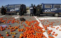 Maroc/UE : renégociation des accords des fruits et légumes
