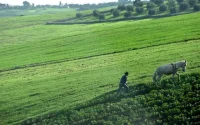L'Europe fait un don de 16 millions d'euros pour le développement de l'agriculture marocaine