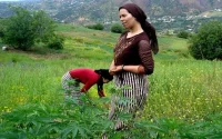 Le Maroc, premier exportateur de haschich vers l'Europe