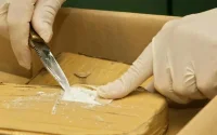 Saisie record de cocaïne au Maroc : 21 personnes interpellées