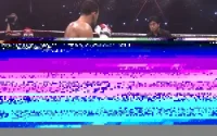 Le KO de Badr Hari élu l'un des meilleurs au monde