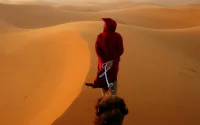 Le désert du Sahara a 7 millions d'années