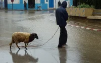 Alerte : pluies orageuses et chutes de neige au Maroc à partir de mardi
