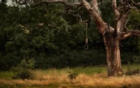 Un enfant de 8 ans se suicide en voulant imiter une scène d'une série turque