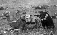Guerre chimique du rif : Le roi d'Espagne se saisit du dossier