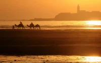 Canicule au Maroc : jusqu'à 46 degrés attendus