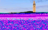 La mosquée Hassan II dans le top des plus belles mosquées au monde