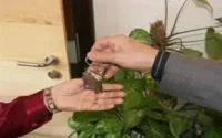 MRE et Maisons virtuelles