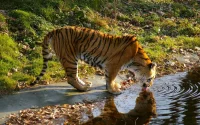 Un parc zoologique en projet à Agadir