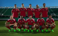 Voici les 27 joueurs sélectionnés pour les prochains matchs des Lions de l'Atlas