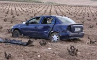 Cinq marocains blessés dans un accident de la route dans le sud de l'Espagne