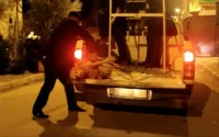 L'abattage massif de chiens continue au Maroc