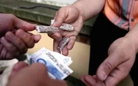 France : une étudiante marocaine condamnée à 6 mois de prison pour trafic de drogue