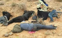 Le Maroc refuse de régulariser des réfugiés syriens arrivés via l'Algérie